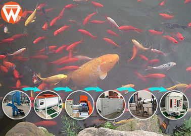 Engrene a máquina de processamento da alimentação dos peixes da correia, processo de manufatura do alimento de peixes 65KW