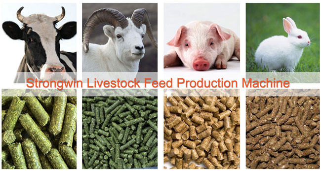 linha de produção da alimentação animal
